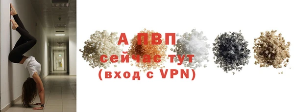 СК Зерноград