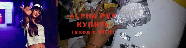 СК Зерноград