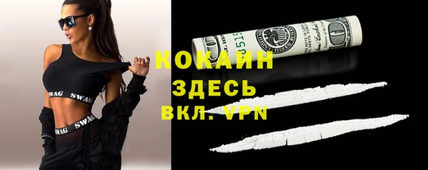 СК Зерноград