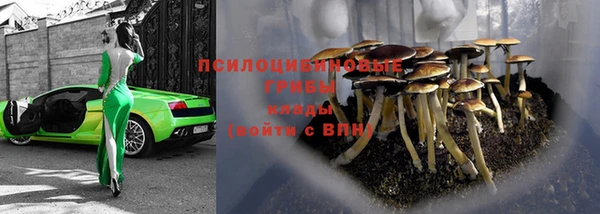 мяу мяу мука Зеленокумск