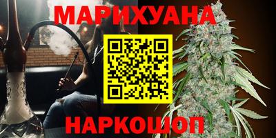 Альфа ПВП Нягань
