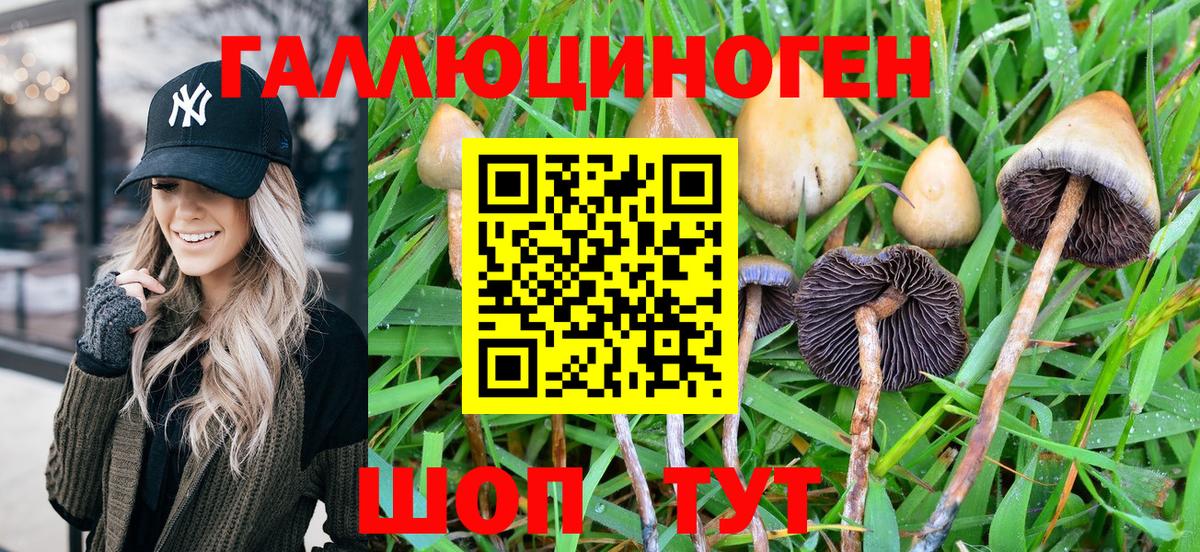 Псилоцибиновые грибы GOLDEN TEACHER  Галлюциногенные грибы GOLDEN TEACHER  Троицк  Вход с VPN 